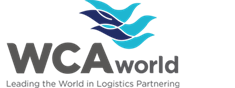 A logo of the company ca world